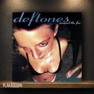 copy-of-website-3-3 Deftones - Around the Fur