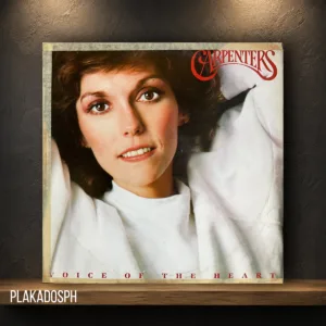 18-2 Carpenters - Voice of the Heart