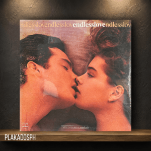 2-4 Endless Love - Original Motion Picture Soundtrack
