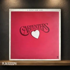22 Carpenters - A Song For You