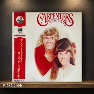 28 Carpenters - A Song For You