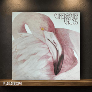 30 Christopher Cross - Another Page