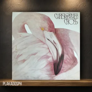 30 Christopher Cross - Another Page