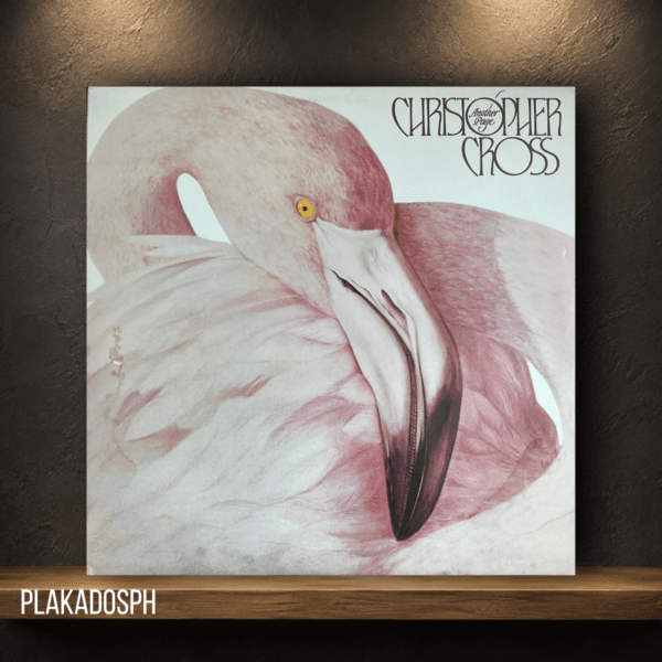 30 Christopher Cross - Another Page