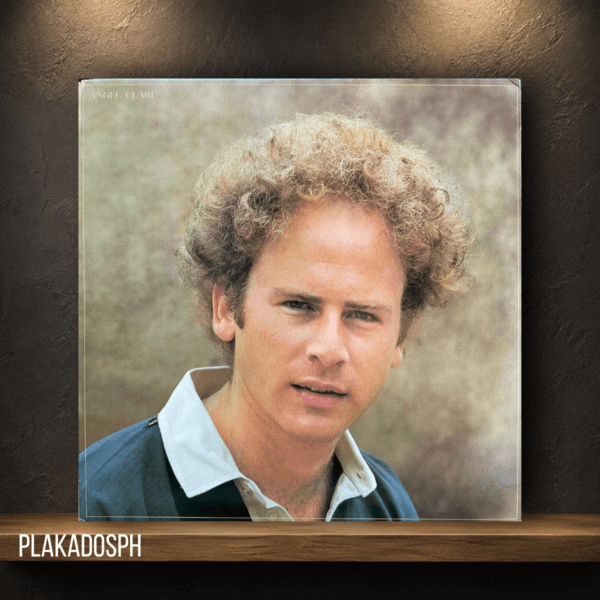a-10 Arthur Garfunkel - Angel Clare