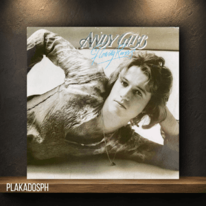 Andy Gibb - Flowing Rivers