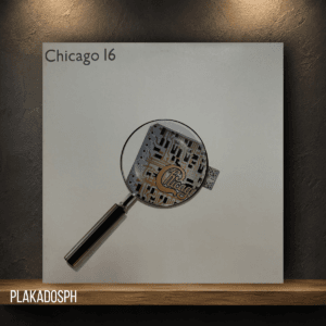 copy-of-copy-of-website-4-2 Chicago - Chicago 16