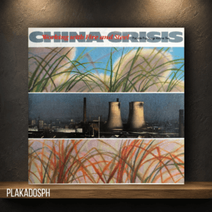 pkds-1-53 China Crisis - Working with Fire and Steel