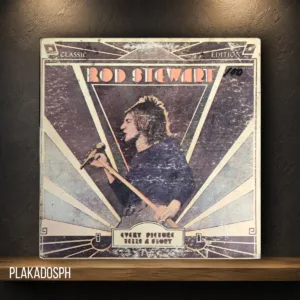 pkds-2-18 Rod Stewart - Every Picture Tells A Story