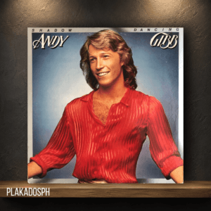 pkds-4-23 Andy Gibb - Shadow Dancing
