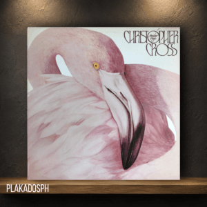Christopher Cross - Another Page