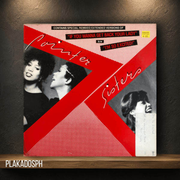 Pointer Sisters - If You Wanna Get Back Your Lady b/w I’m So Excited
