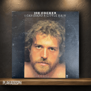 17-2 Joe Cocker - I Can Stand A Little Rain