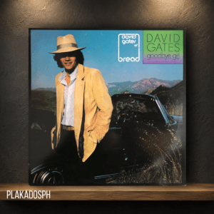 pkds-1-83 David Gates - Goodbye Girl