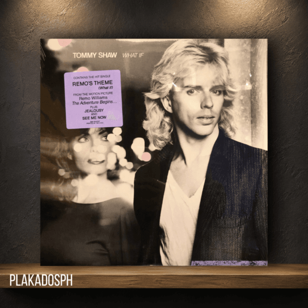 Tommy Shaw - What If