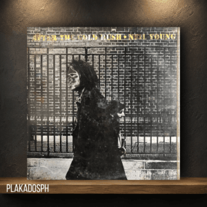 Neil Young - After The Gold Rush