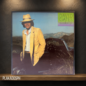 David Gates – Goodbye Girl